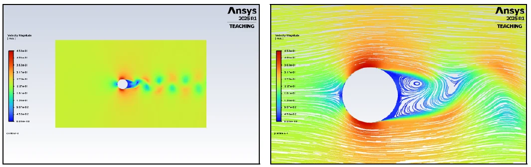 Simulation CFD- Demonstrating wave flow effects downstream